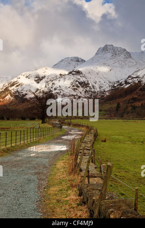 Les flaques d'eau sur une voie menant à la ferme des Langdale Pikes. Banque D'Images