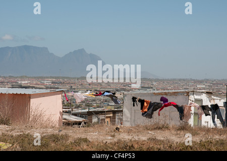 Maisons de squatters sur le township de Khayelitsha, près du Cap, Afrique du Sud Banque D'Images