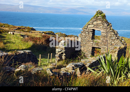 Une maison en pierre en ruine sur la péninsule de Beara sur la côte sud-ouest de l'Irlande. Banque D'Images