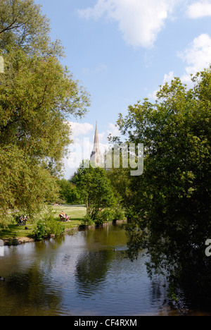 Les gens se détendre par la rivière Nadder avec la cathédrale de Salisbury dans la distance. La cathédrale est le plus haut clocher d'église dans le Banque D'Images