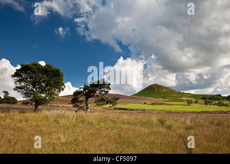 Landes et Hawnby Hill dans le North York Moors National Park. Banque D'Images