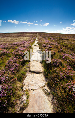 Les Quakers Causeway, un ancien marché à travers Stanghow Moor dans le North York Moors National Park près de Guisborough. Banque D'Images