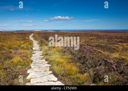 Les Quakers Causeway, un ancien marché à travers Stanghow Moor dans le North York Moors National Park près de Guisborough. Banque D'Images