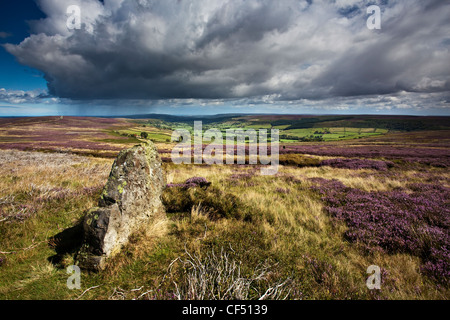 Standing Stone of Glaisdale sur Rigg au-dessus de la Dale dans le North York Moors National Park. Banque D'Images