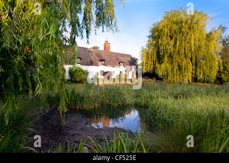 Une chaumière à Fornham All Saints village de Suffolk, UK Banque D'Images