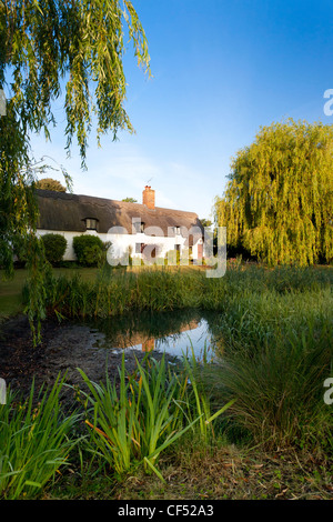 Une chaumière à Fornham All Saints village de Suffolk, UK Banque D'Images