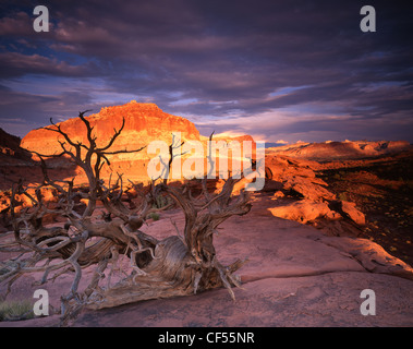 Coucher du soleil sur le waterpocket fold dans Capitol Reef National Park dans l'Utah, vue de Panorama Point le long de l'AUTOROUTE 24 Banque D'Images