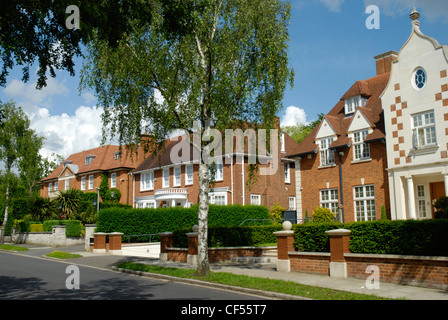 Vue sur la route de grandes maisons sur Winnington Road à Londres. Banque D'Images