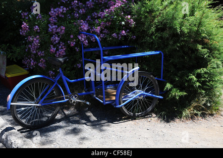 Tricycle bleu garé en vert et mauve rose bush arbustif, Lakes District, Pucon, Chili Banque D'Images