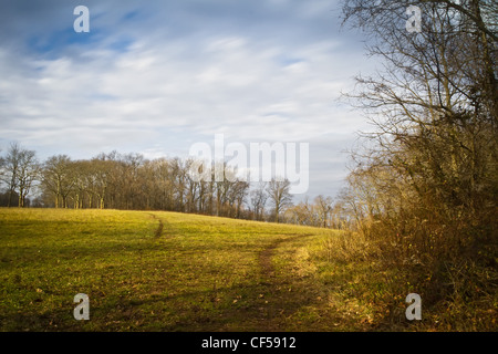 Voir de champs agricoles à Tyler State Park dans le comté de Bucks Banque D'Images