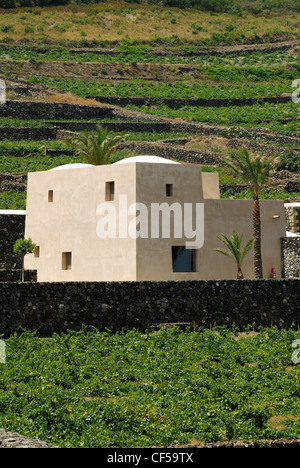 Le Donnafugata vignes et caves à Khamma, district de l'île de Pantelleria, Trapani, Sicile, Italie Banque D'Images