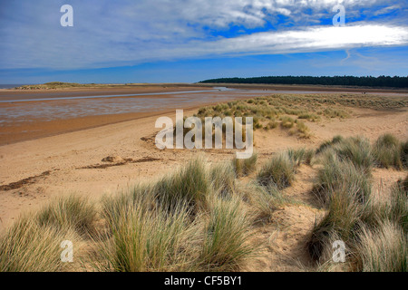 Dunes de sable de la Baie d'Holkham Beach National Nature Reserve Peddars Way North Norfolk Holkham village, North Norfolk England, UK Banque D'Images