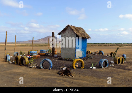 En kiosque Terra Boa, Sal, l'île de Sal, Cap-Vert, Afrique Banque D'Images