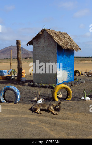 En kiosque Terra Boa, Sal, l'île de Sal, Cap-Vert, Afrique Banque D'Images