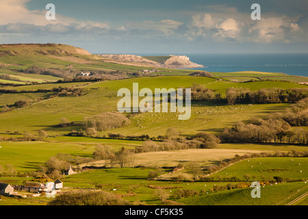 Vue depuis les collines de Purbeck près de Church Knowle sur les pâturages des régions rurales vers la côte et les falaises de la côte jurassique. Banque D'Images