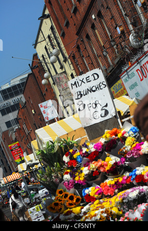 Une fleur décroche à Moore Street Market à Dublin. Banque D'Images