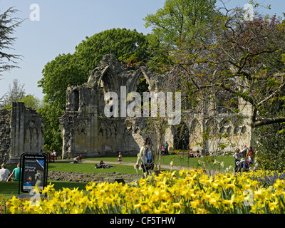 Ruines de l'abbaye de St Marys dans les jardins du Musée. Banque D'Images