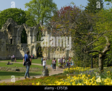 Les gens qui marchent dans le Yorkshire Museum Gardens passé les ruines de l'abbaye de St Mary, une fois l'abbaye la plus riche dans le nord de Englan Banque D'Images