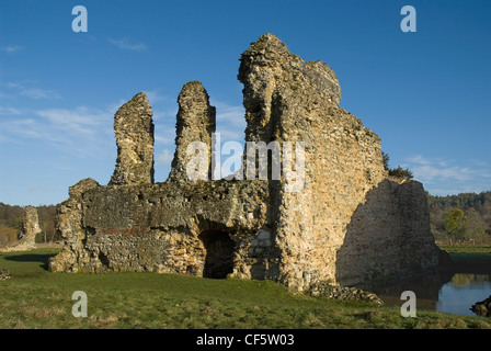 Les ruines de l'abbaye de Waverley. Construit en 1128 il a été la première abbaye cistercienne. Banque D'Images