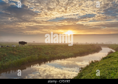 Ciel du matin reflète dans l'eau du fleuve Brue fonctionnant par les Somerset Levels. Banque D'Images