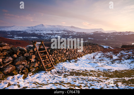 Marches de bois sur un mur de pierres sèches sur le précipice à pied dans le parc national de Snowdonia. Cadair Idris à 893m ou 2930m de haut peut être s Banque D'Images