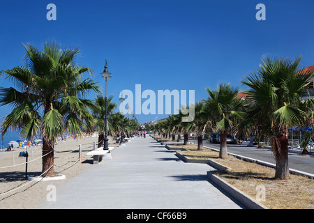 Grande route près de plage avec des palmiers, des lanternes et bancs sur le bord Banque D'Images