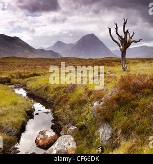 Vue sur Rannoch Moor dans les Highlands écossais. Banque D'Images