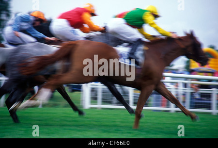 Les courses de chevaux à l'Hippodrome de Leicester. Banque D'Images