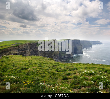 Les falaises de Moher qui s'étendent sur 8 km et monter jusqu'à 214 mètres au-dessus de l'océan Atlantique. Banque D'Images