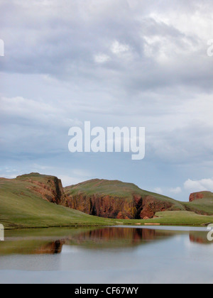 Avis de Muckle Roe sur Shetland. Banque D'Images