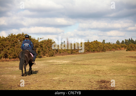 Cheval cavalier équitation dans le parc national de New Forest, Hampshire Royaume-Uni en février Banque D'Images