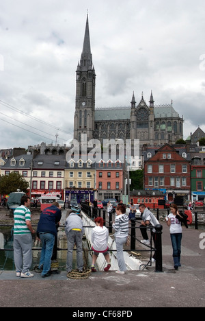 L'IRLANDE, Cobh, Cathédrale St Colmans Banque D'Images