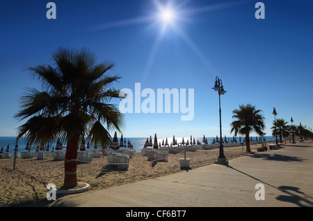 Chemin de béton avec des palmiers sur la plage de sable vide pliée avec parasols et chaises longues, soleil et ciel sans nuages Banque D'Images