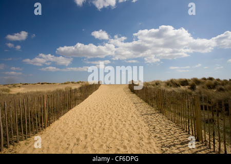 Sentier de sable à travers les dunes de sable à Walberswick beach. Banque D'Images