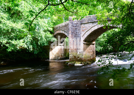 Nouveau pont, un pont médiéval sur la rivière Dart dans le parc national du Dartmoor. Banque D'Images