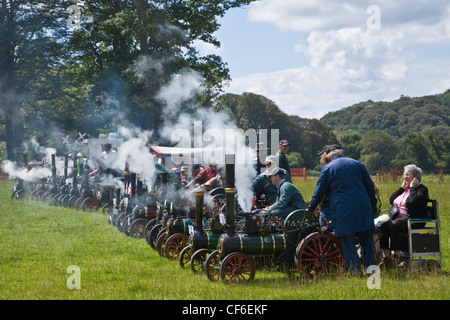 Une ligne de moteurs de traction à vapeur miniature leurs sifflements sonores à la vapeur Boconnoc juste. Banque D'Images