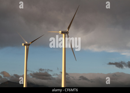 Parcs éoliens - exploiter le vent Banque D'Images