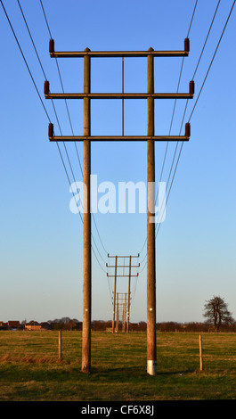 Une rangée de poteaux télégraphiques dans la campagne de Colchester lorsque le soleil se couche Banque D'Images
