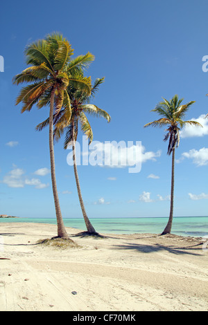 Plage de Cap Cana Banque D'Images