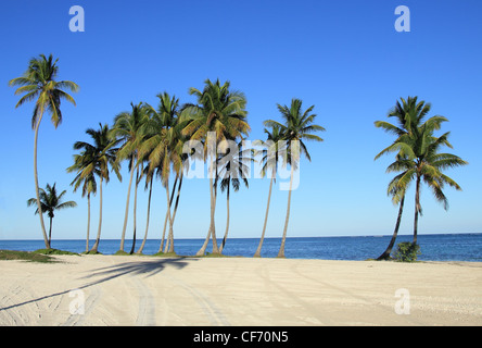 Plage de Cap Cana Banque D'Images