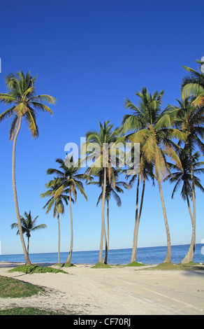 Plage de Cap Cana Banque D'Images