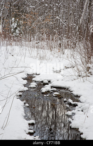 Petit ruisseau de Lincoln, New Hampshire USA après une tempête de neige Banque D'Images