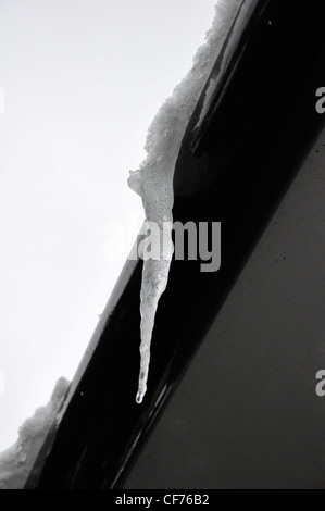 Icicle sur gutter effet monochrome Banque D'Images