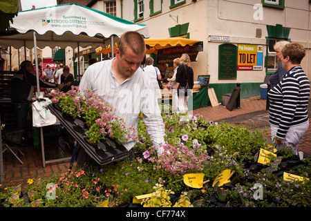 Stroud, Gloucestershire, Royaume-Uni, Swan Lane, farmer's market flower stall ci-dessous Swan Inn's sign Banque D'Images