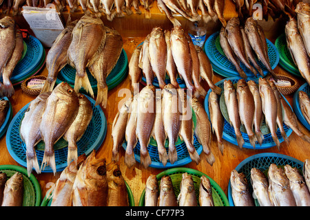 Poisson sur écran en marché aux poissons de Jagalchi à Busan, Corée du Sud Banque D'Images