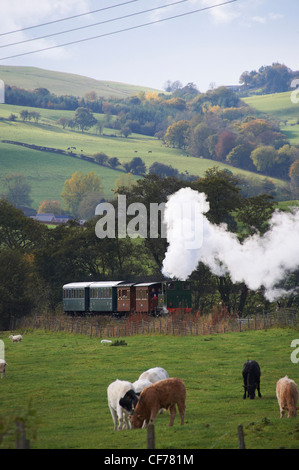 Trains remorqués à vapeur sur Welshpool & Llanfair de fer étroit, Welshpool, Mid Wales Banque D'Images