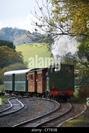 Trains remorqués à vapeur sur Welshpool & Llanfair de fer étroit, Welshpool, Mid Wales Banque D'Images