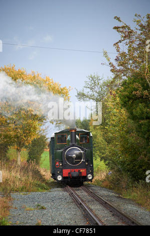 Trains remorqués à vapeur sur Welshpool & Llanfair de fer étroit, Welshpool, Mid Wales Banque D'Images