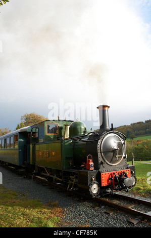 Trains remorqués à vapeur sur Welshpool & Llanfair de fer étroit, Welshpool, Mid Wales Banque D'Images