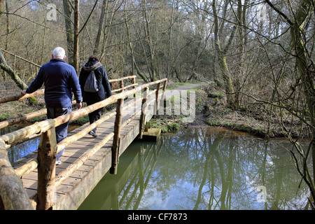 Dans le lac Sheffield Park Garden Sussex England UK Banque D'Images